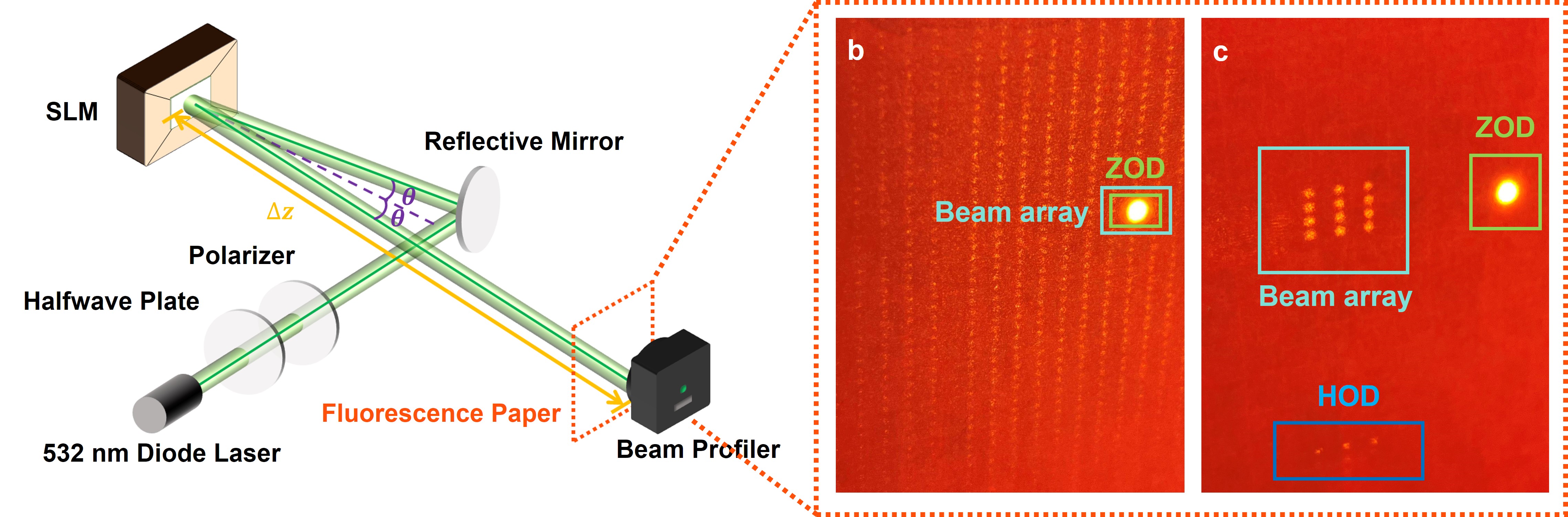 SLM holographic projection setup and beam-array images showing zeroth-order and higher-order diffraction
